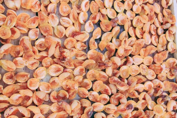 dry apricot 1 kg